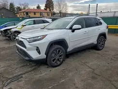 JTMB6RFV8PD547308 2023 TOYOTA RAV 4