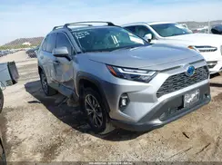 JTMB6RFV8RD122190 2024 TOYOTA RAV 4