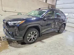 JTMB6RFV8RD122397 2024 TOYOTA RAV 4