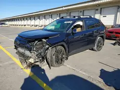 JTMB6RFV8RD128426 2024 TOYOTA RAV 4