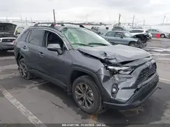 JTMB6RFV8RD143380 2024 TOYOTA RAV 4