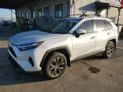 JTMB6RFV8RD150569 2024 TOYOTA RAV 4