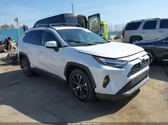 JTMB6RFV8RD559347 2024 TOYOTA RAV 4