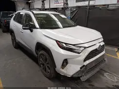 JTMB6RFV8RJ041093 2024 TOYOTA RAV 4