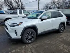 JTMB6RFV8RJ041398 2024 TOYOTA RAV 4