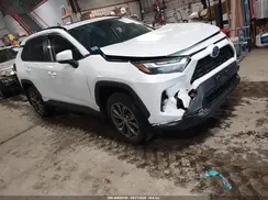 JTMB6RFV8RJ055883 2024 TOYOTA RAV 4