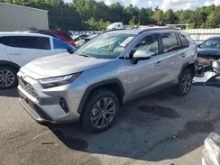 JTMB6RFV8SD154854 2025 TOYOTA RAV 4
