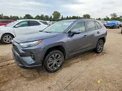 JTMB6RFV8SD157480 2025 TOYOTA RAV 4
