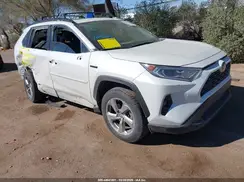 JTMB6RFV9MD040803 2021 TOYOTA RAV 4