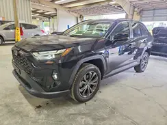 JTMB6RFV9PD087012 2023 TOYOTA RAV 4