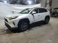 JTMB6RFV9PD540884 2023 TOYOTA RAV 4
