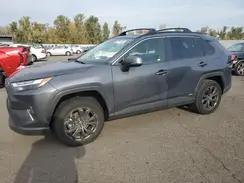 JTMB6RFV9PD544904 2023 TOYOTA RAV 4