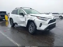 JTMB6RFV9PJ027636 2023 TOYOTA RAV 4