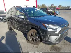 JTMB6RFV9RD120061 2024 TOYOTA RAV 4