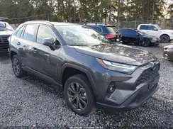 JTMB6RFV9RD121601 2024 TOYOTA RAV 4