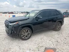 JTMB6RFV9RD121890 2024 TOYOTA RAV 4