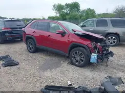 JTMB6RFV9RD131853 2024 TOYOTA RAV 4