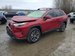 JTMB6RFV9RD137040 2024 TOYOTA RAV 4