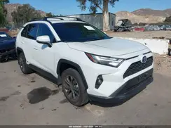 JTMB6RFV9RD564086 2024 TOYOTA RAV 4