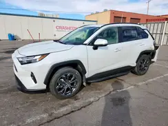 JTMB6RFV9RJ047775 2024 TOYOTA RAV 4