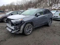 JTMB6RFV9SD156287 2025 TOYOTA RAV 4