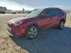 JTMB6RFVXMD031463 2021 TOYOTA RAV 4