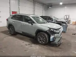 JTMB6RFVXPD542370 2023 TOYOTA RAV 4