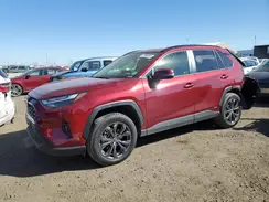 JTMB6RFVXRD120389 2024 TOYOTA RAV 4