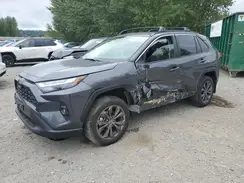 JTMB6RFVXSJ065949 2025 TOYOTA RAV 4