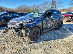 JTMBFREV1HJ703256 2017 TOYOTA RAV 4
