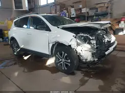 JTMBFREV2GD196204 2016 TOYOTA RAV 4