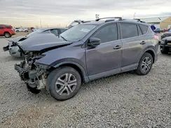 JTMBFREV3GD185776 2016 TOYOTA RAV 4