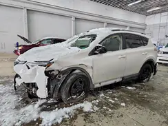 JTMBFREV3HD208071 2017 TOYOTA RAV 4