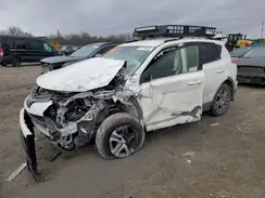 JTMBFREV3HJ106299 2017 TOYOTA RAV 4