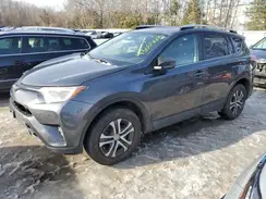 JTMBFREV4GD195698 2016 TOYOTA RAV 4
