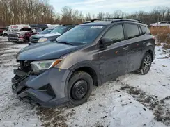 JTMBFREV4HJ706362 2017 TOYOTA RAV 4
