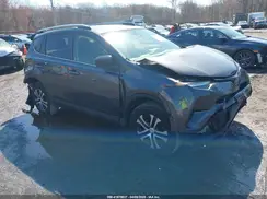 JTMBFREV7HJ174413 2017 TOYOTA RAV 4