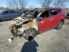 JTMBFREV8GJ073542 2016 TOYOTA RAV 4