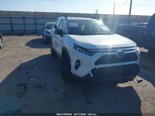 JTMC1RFV0KD513956 2019 TOYOTA RAV 4 - Image 1