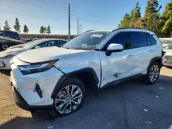 JTMC1RFV0SJ036236 2025 TOYOTA RAV 4