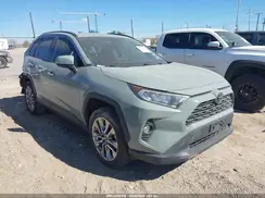 JTMC1RFV1KD512203 2019 TOYOTA RAV 4