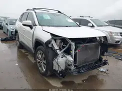 JTMC1RFV2KD509746 2019 TOYOTA RAV 4