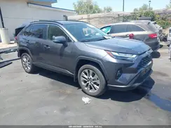 JTMC1RFV5RJ031043 2024 TOYOTA RAV 4