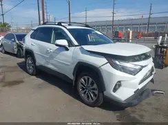 JTMC1RFV5RJ031219 2024 TOYOTA RAV 4
