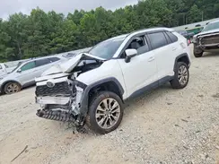 JTMC1RFV6KD015972 2019 TOYOTA RAV 4