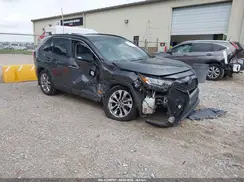 JTMC1RFV6KJ004018 2019 TOYOTA RAV 4