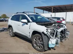 JTMC1RFV6RJ030497 2024 TOYOTA RAV 4