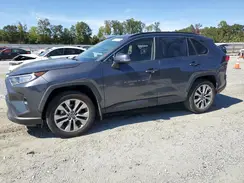 JTMC1RFV8KD035334 2019 TOYOTA RAV 4