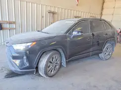 JTMC1RFVXRJ031782 2024 TOYOTA RAV 4