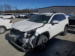 JTMCB3FV1RD174872 2024 TOYOTA RAV 4